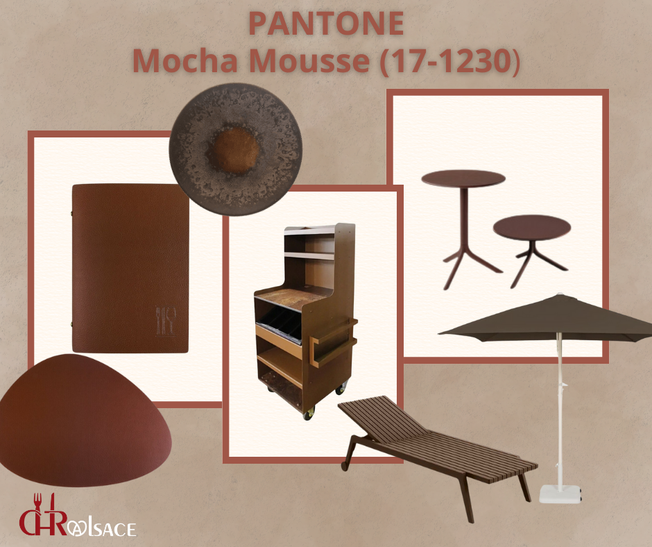 Couleur PANTONE 2025 : Mocha Mousse